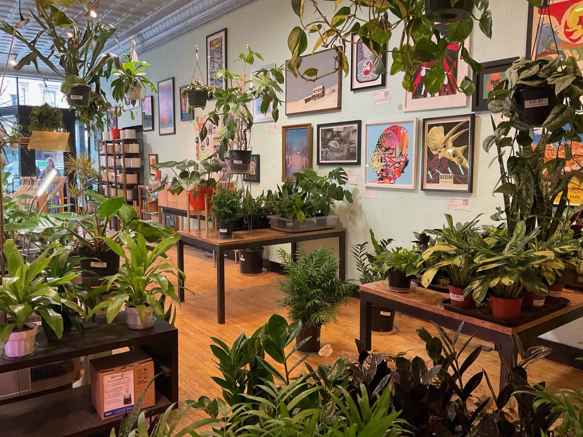 paintings hanging on wall of plant store